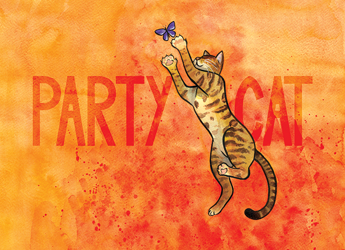 Party Cat kissa hyppäämässä perhosen perään.